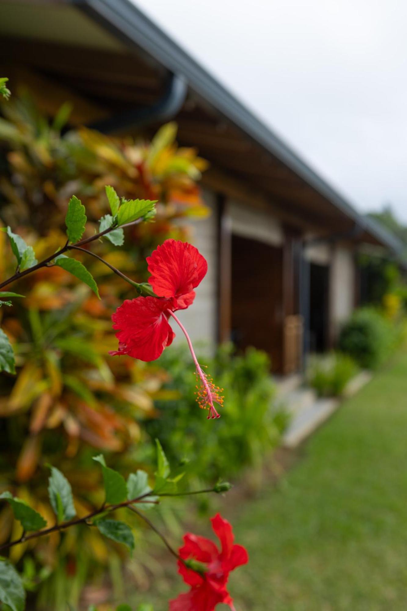 Paradise Chalets Yoga & Wellness Takamaka Exteriör bild